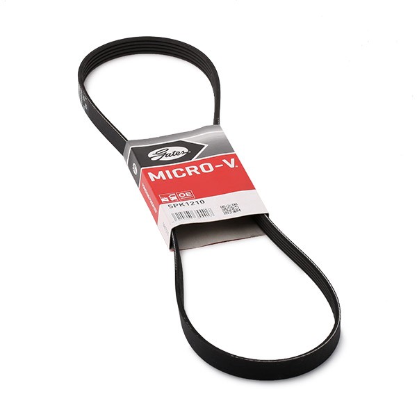 FAJA DE ACCESORIOS (KP14)