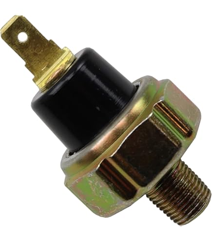 DREIK AMPOLLETA DE ACEITE